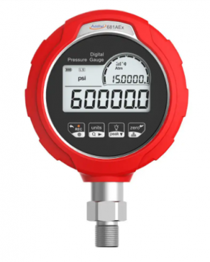 可記錄數位(防爆)壓力表
